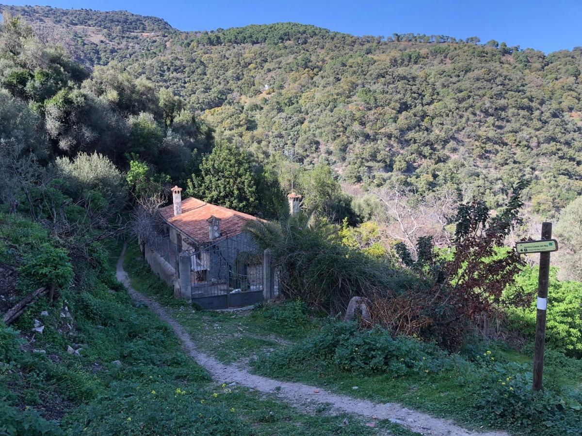Molino De Santos Βίλα Benarrabá Εξωτερικό φωτογραφία