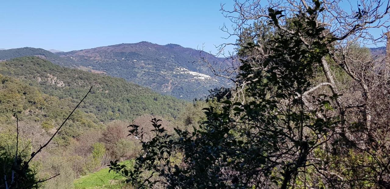 Molino De Santos Βίλα Benarrabá Εξωτερικό φωτογραφία